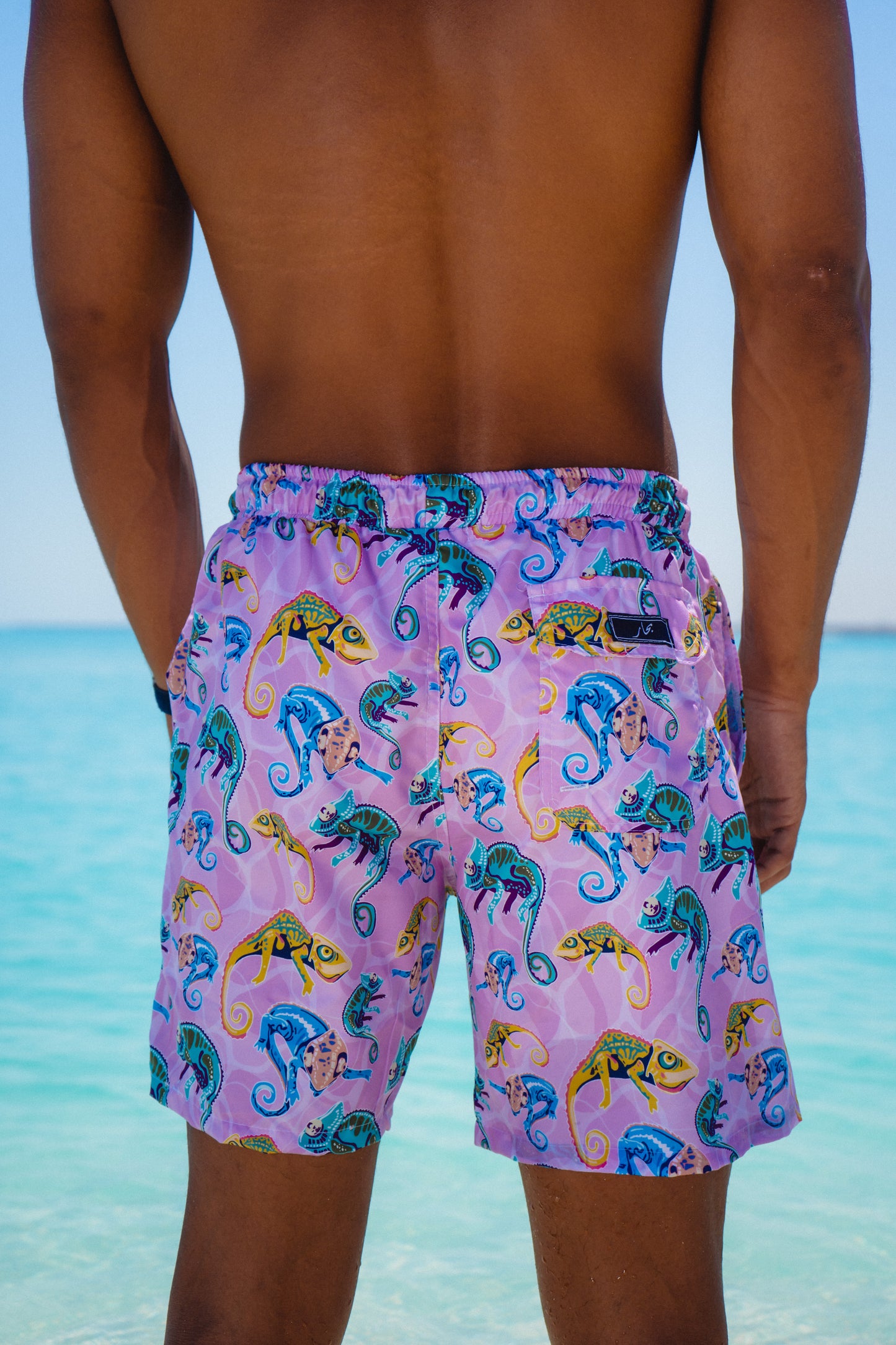 Chameleon Chill Swim Shorts - Adults